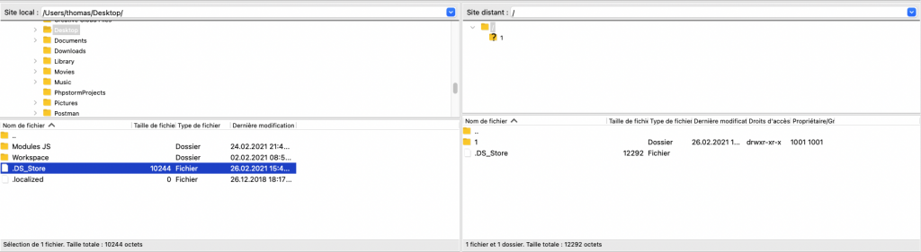 Image présentant l'interface de l'outil FileZilla après un envoie de fichier